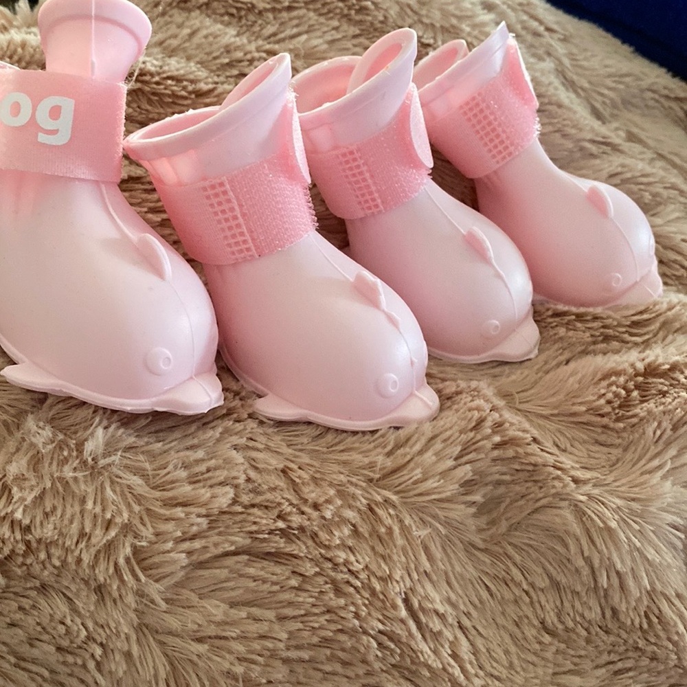Romwe shoes for pets
